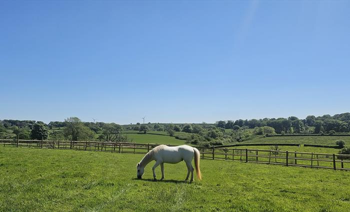 Redford Caravan Park